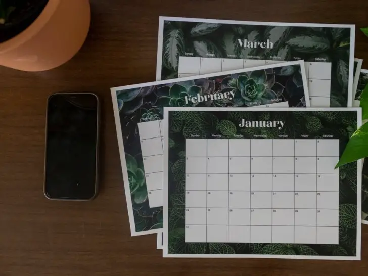 Free 2021 Printable Calendars: Plant Designs
