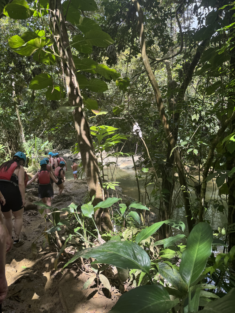 El Yunque Rainforest