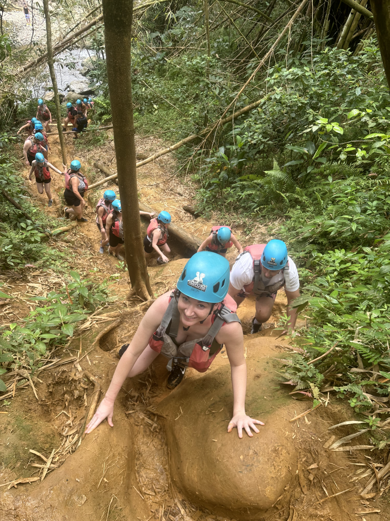 El Yunque Get Your Guide Tour