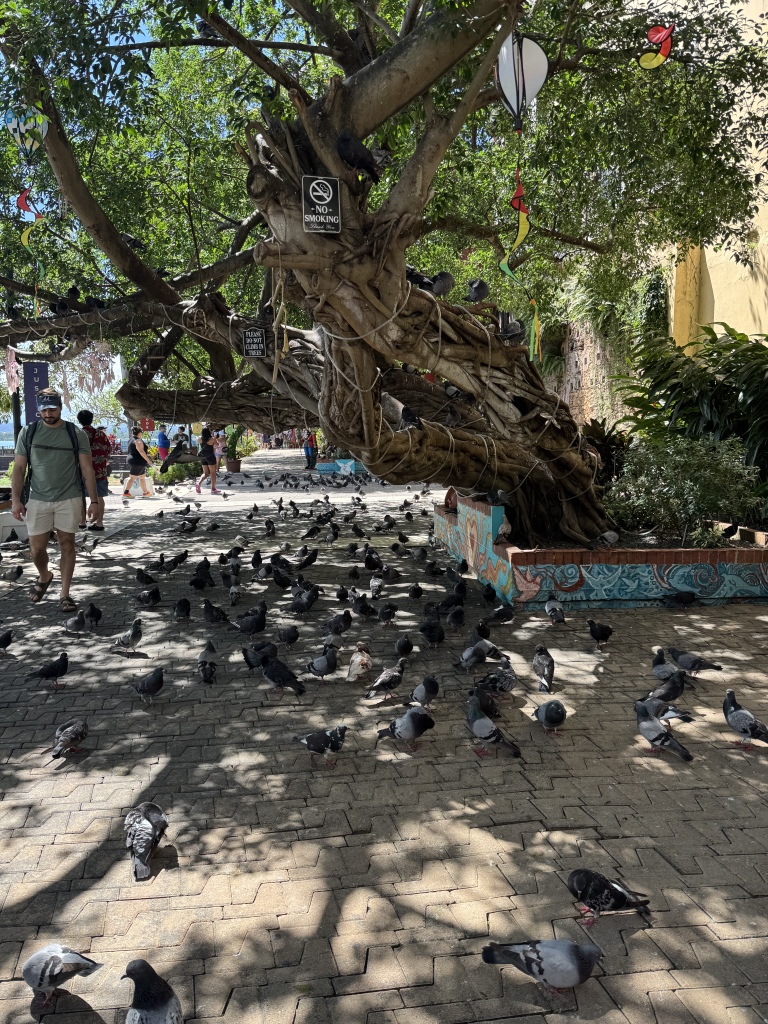 Parque de las Palomas