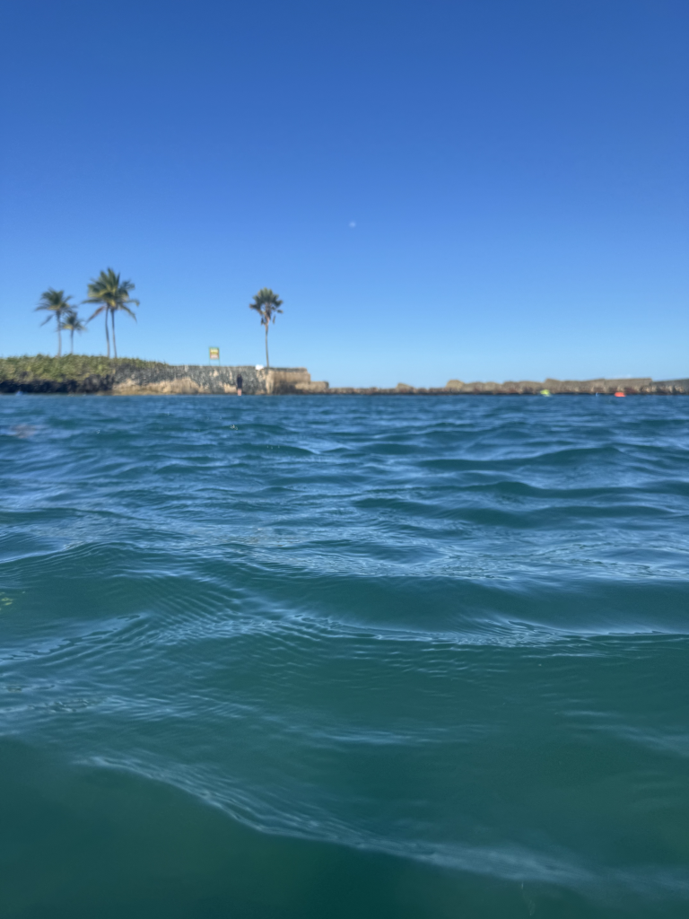 Snorkeling at Escambron BEaach